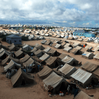 immigrant camps
