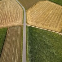 Aerial view of a landscape with a road between agriculture fields in summer